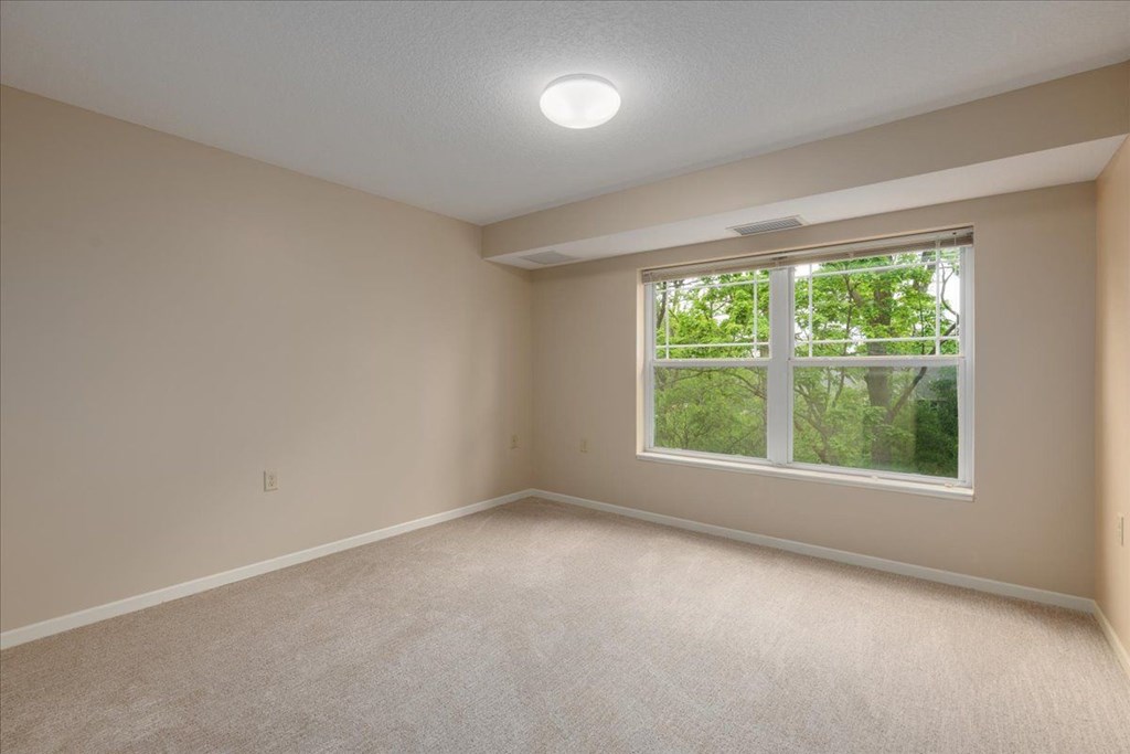 A room with a window and a carpeted floor.