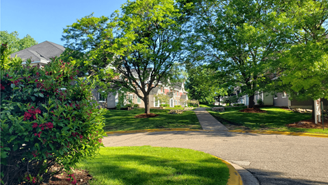 a tree lined street in a neighborhood with houses