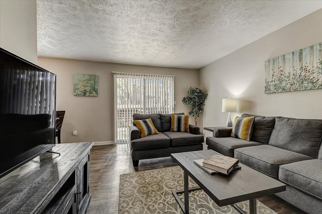 a living room with a couch and a tv