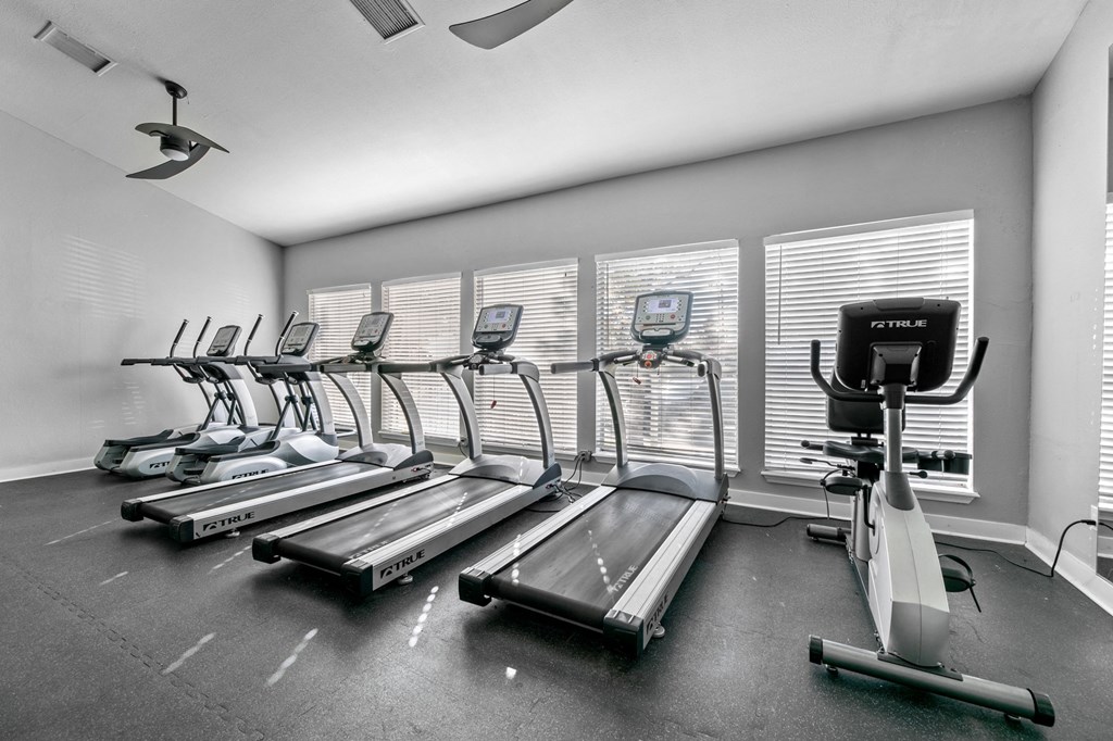 the gym has cardio equipment and treadmills