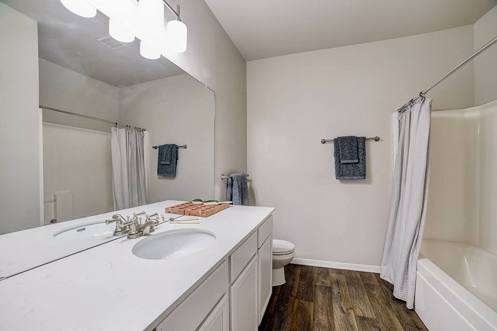 a bathroom with a sink and a mirror and a shower