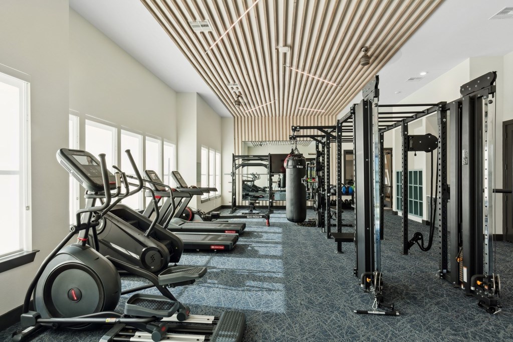 A gym with treadmills, elliptical machines, and weight machines.
