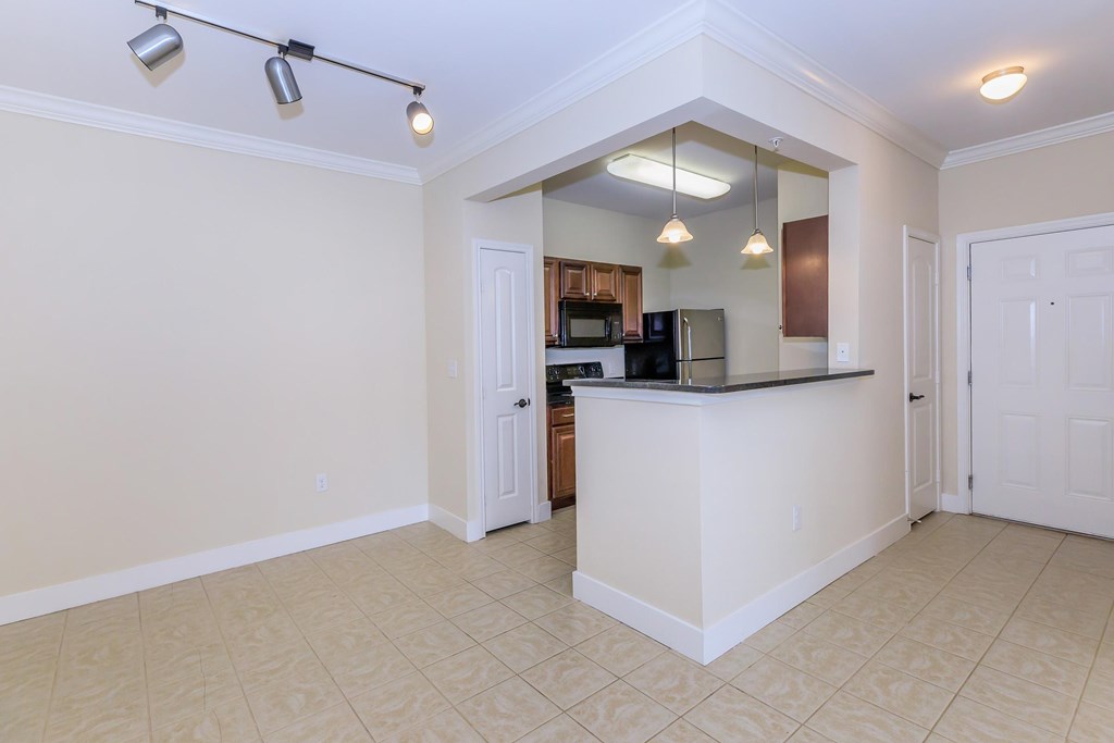 A kitchen area with a counter and cabinets.