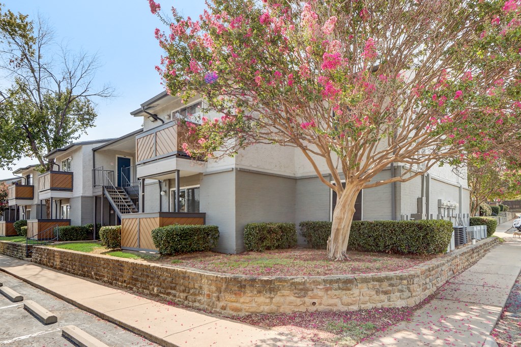 a tree in front of a building