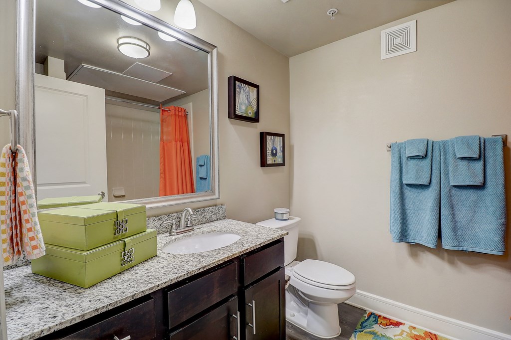 a bathroom with a sink and toilet and a mirror
