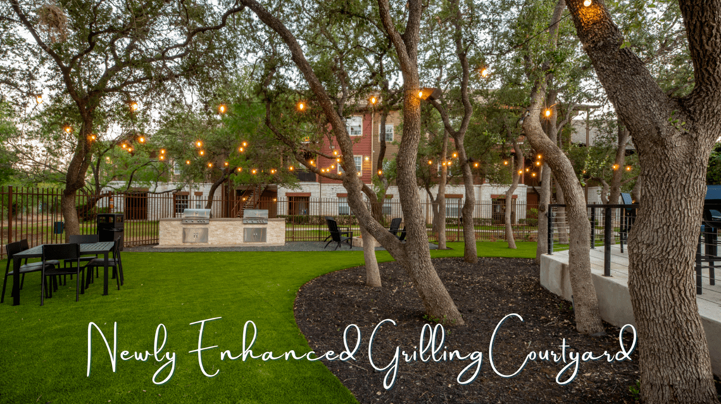 a backyard with lights hanging from the trees