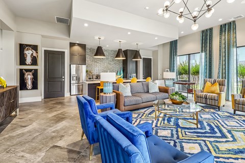 A living room with a blue rug and a grey couch.