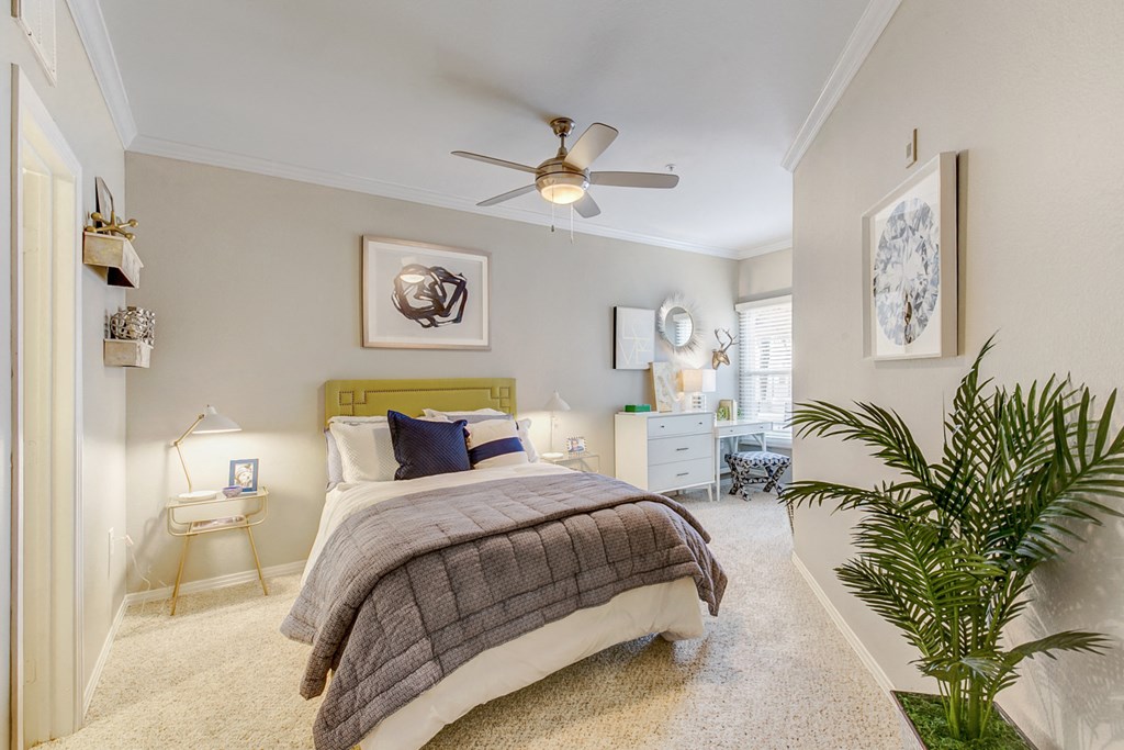 Apartments in East Dallas for lease 