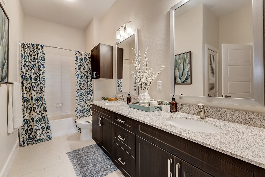 a bathroom with a sink and a mirror and a shower