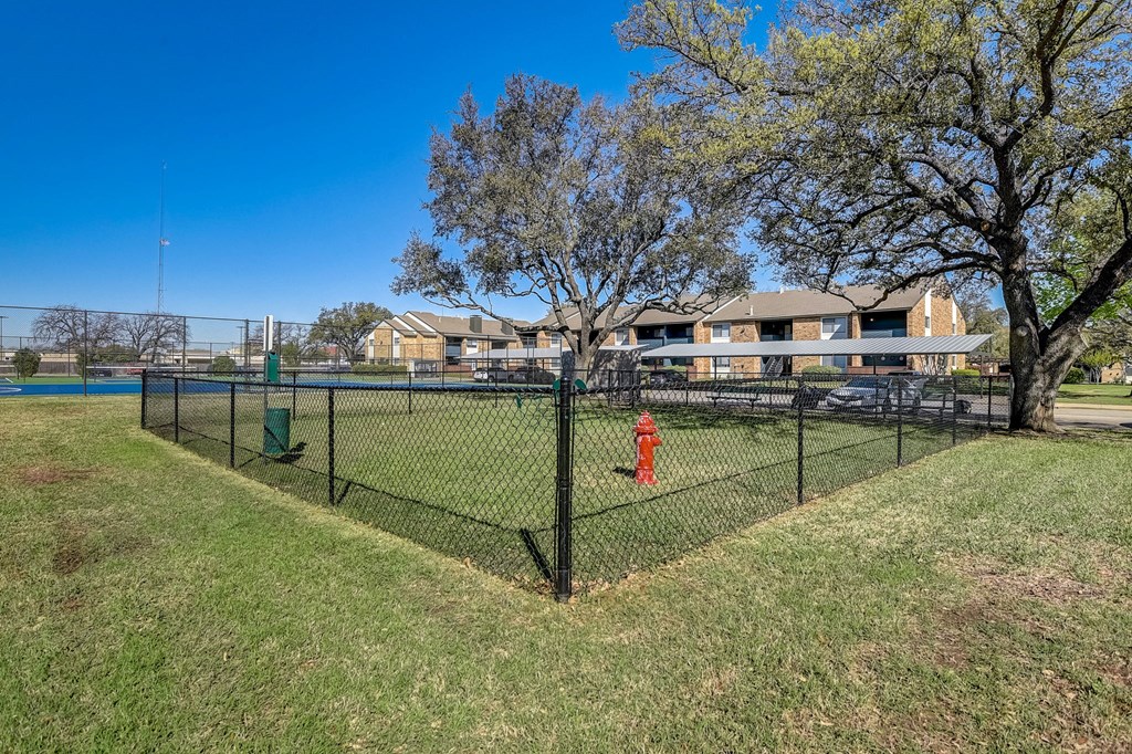 the preserve at ballantyne commons dog park