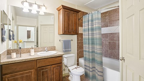 A bathroom with a toilet, sink, and shower.