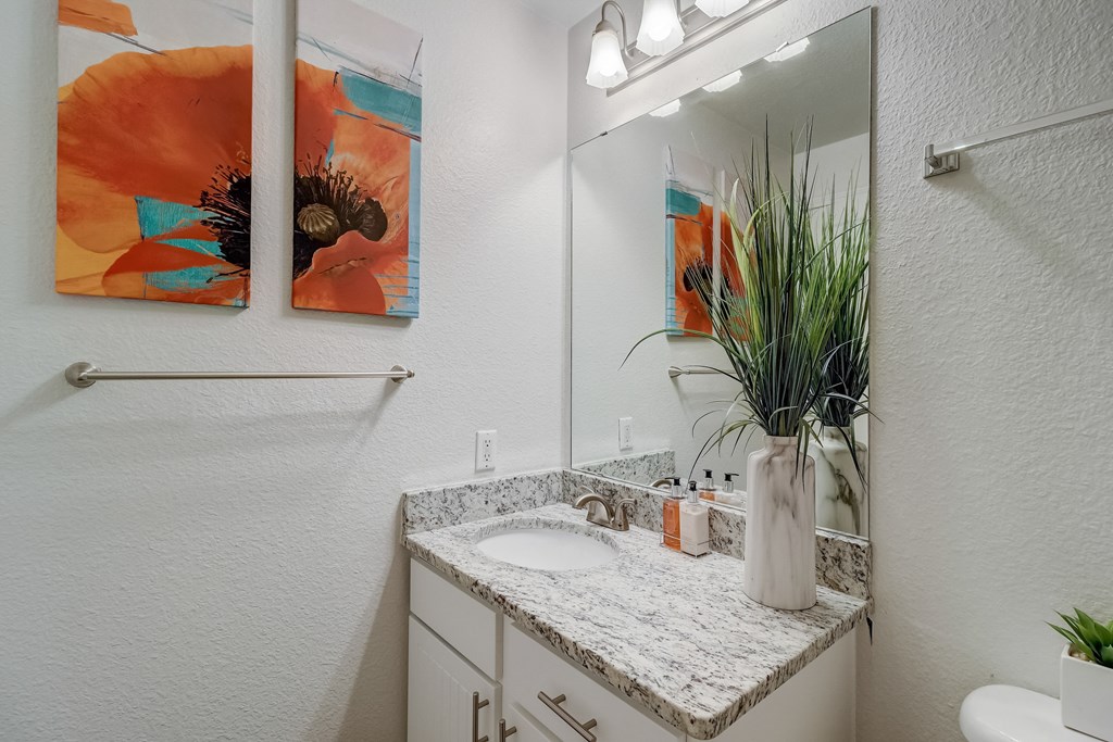 a bathroom with a sink and a mirror