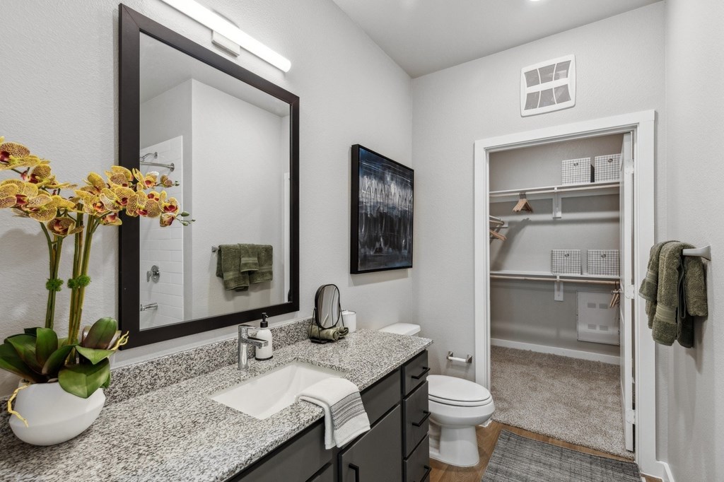 A bathroom with a sink, mirror, toilet, and a potted plant.