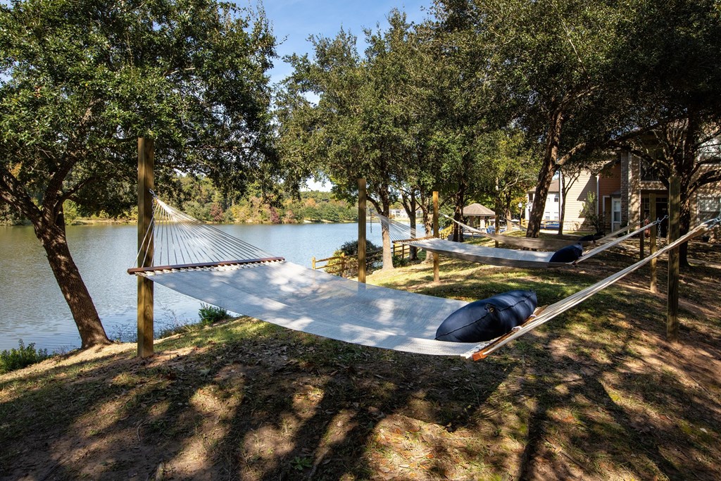 Luxury Apartments in The Woodlands