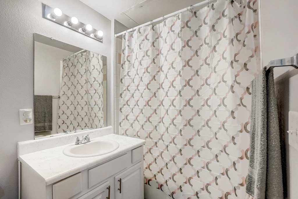 a bathroom with a sink and a shower and a mirror