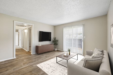 A living room with a couch, a coffee table, and a television.