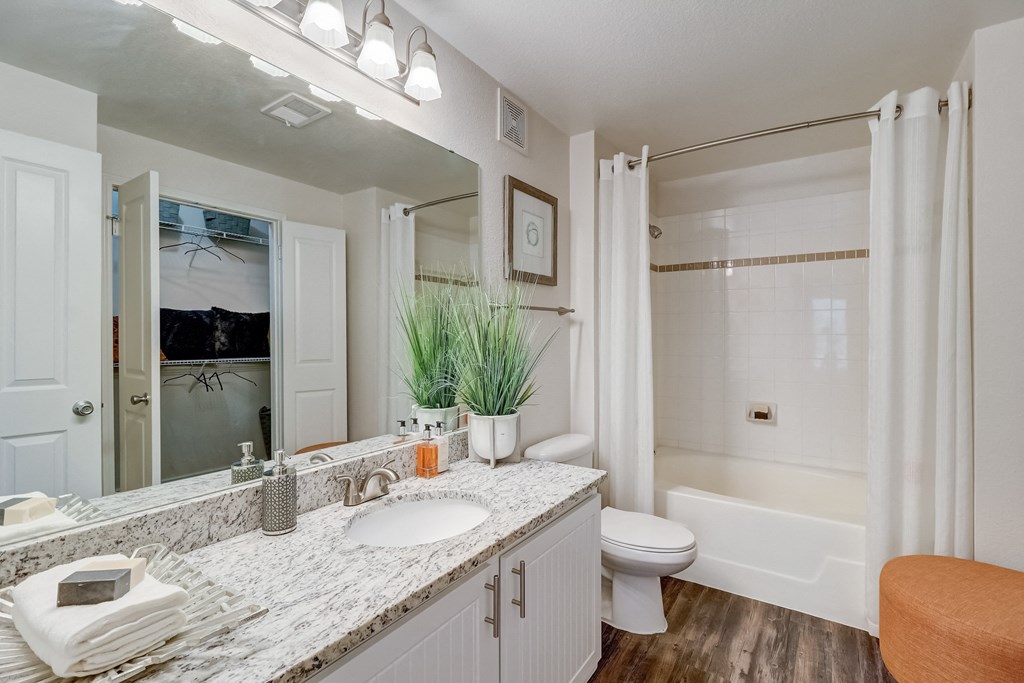 a bathroom with a sink and a toilet and a shower