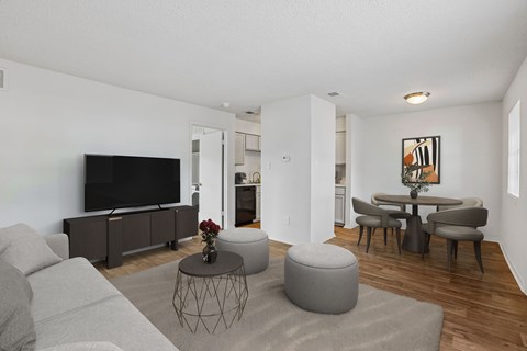 A living room with a grey sofa, a black television, and a grey coffee table.