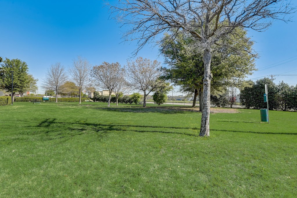 a park with a tree and a shadow of a tree