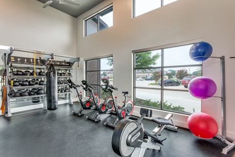 Bright gym featuring free weights, punching bag, cardio bikes, and natural light.
