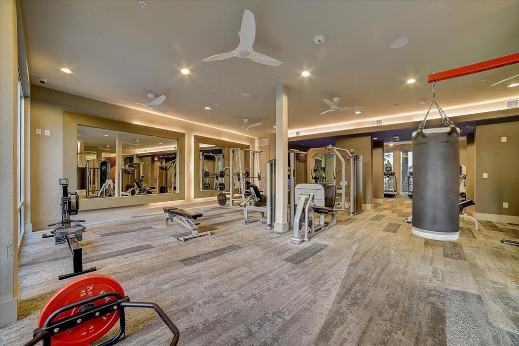 the gym in the home has weights and a punching bag