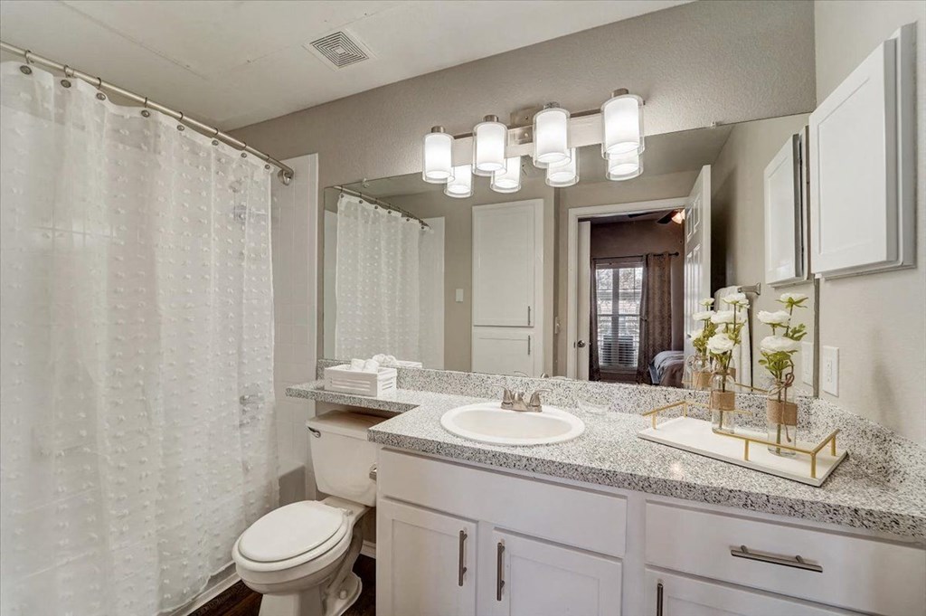 a bathroom with a sink and a toilet and a shower