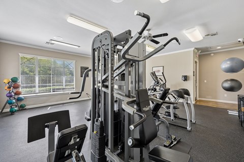 A gym with a variety of equipment including a treadmill, weights, and a bench press.