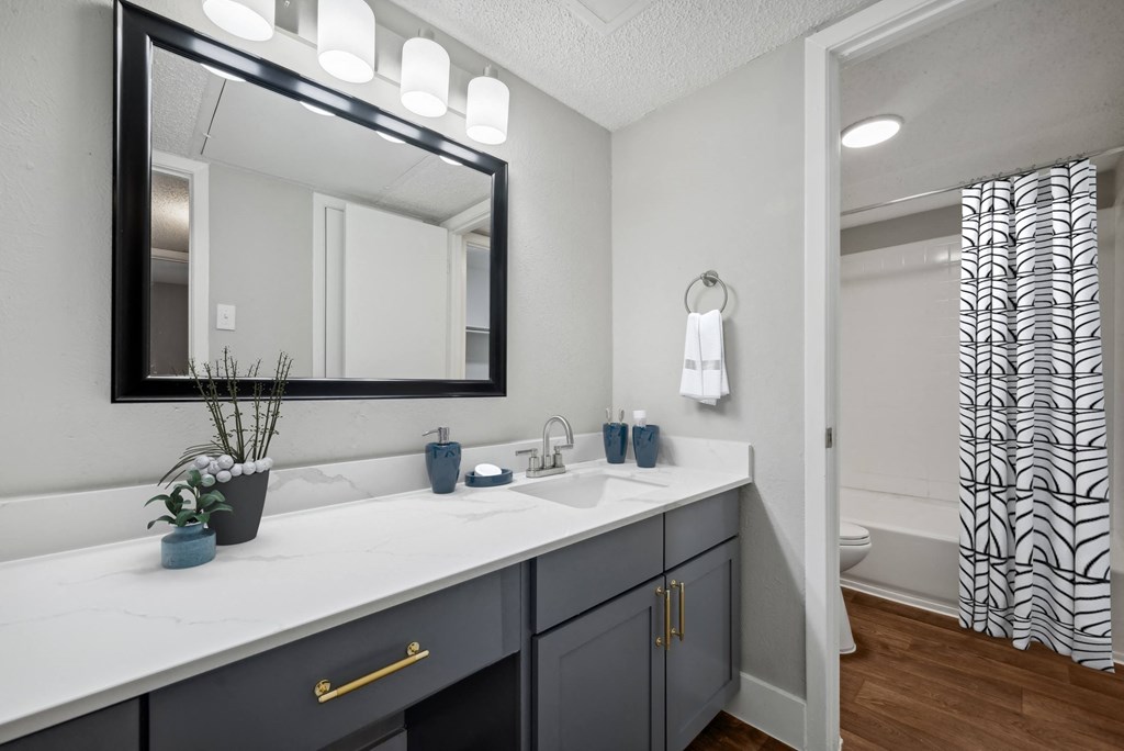 a bathroom with a large mirror and a sink and a toilet