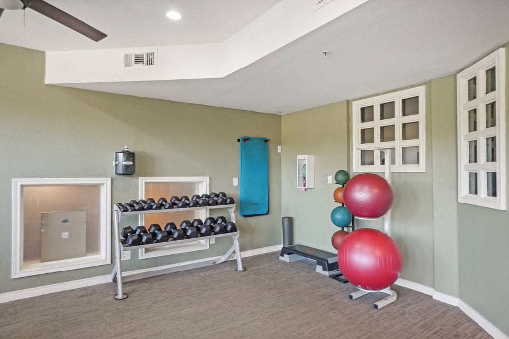A room with a row of dumbbells and a row of exercise balls.