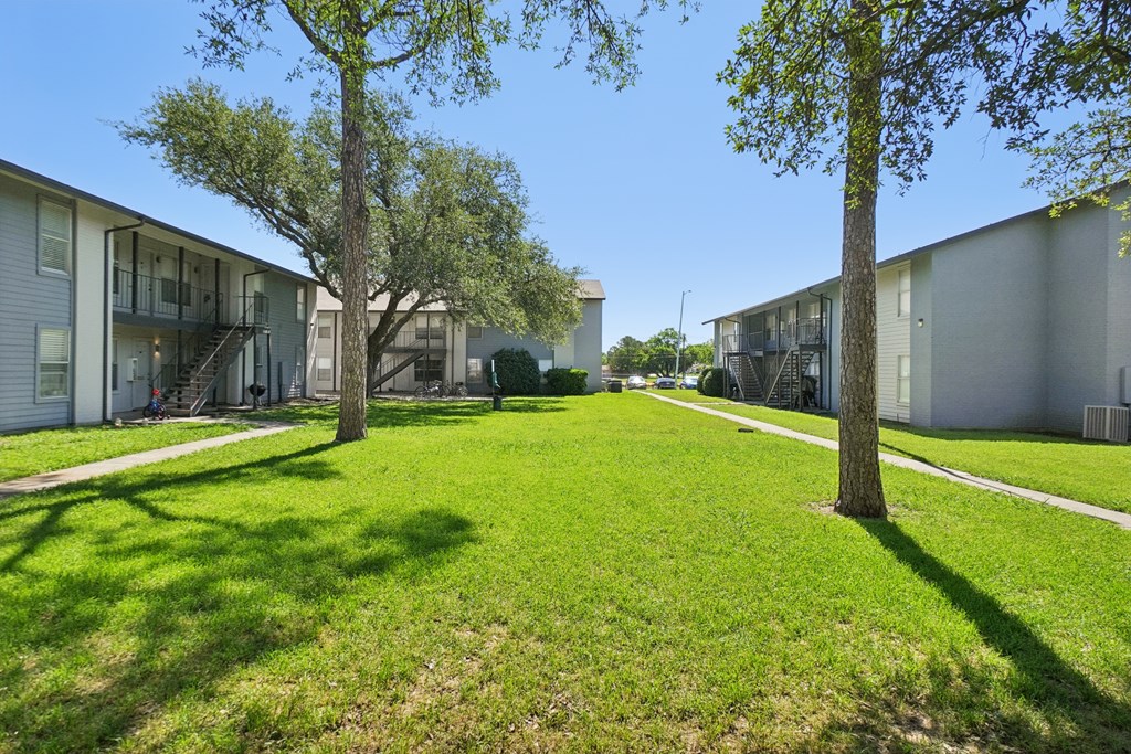 A sunny day at the apartment complex with green grass and trees.
