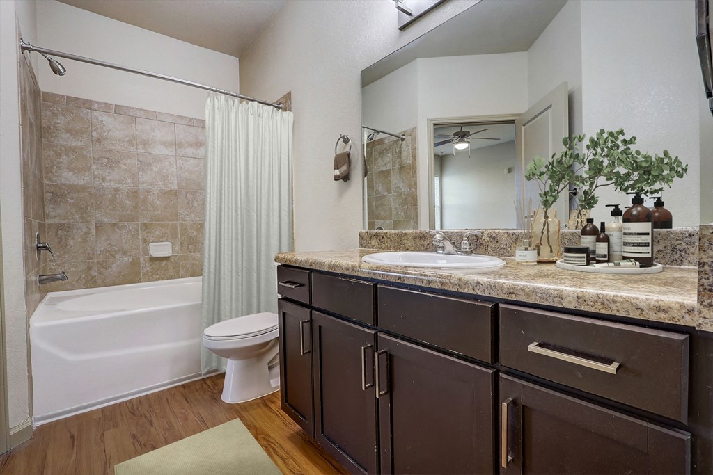 a bathroom with a sink and a toilet and a shower