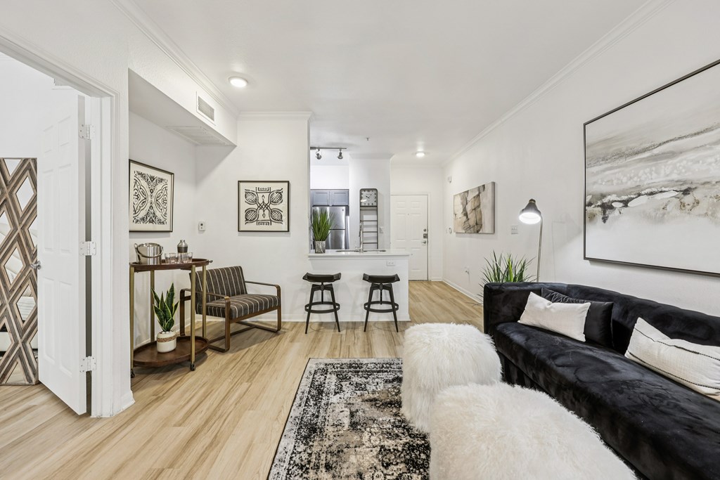 A black and white living room with a couch, chair, and rug.