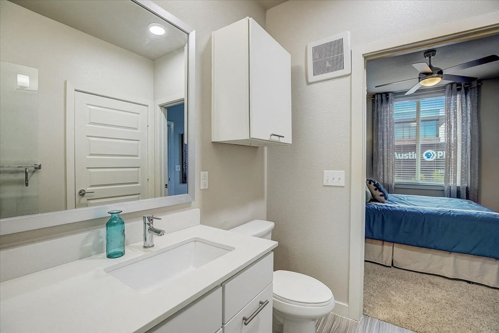 a bathroom with a mirror and a toilet and a sink