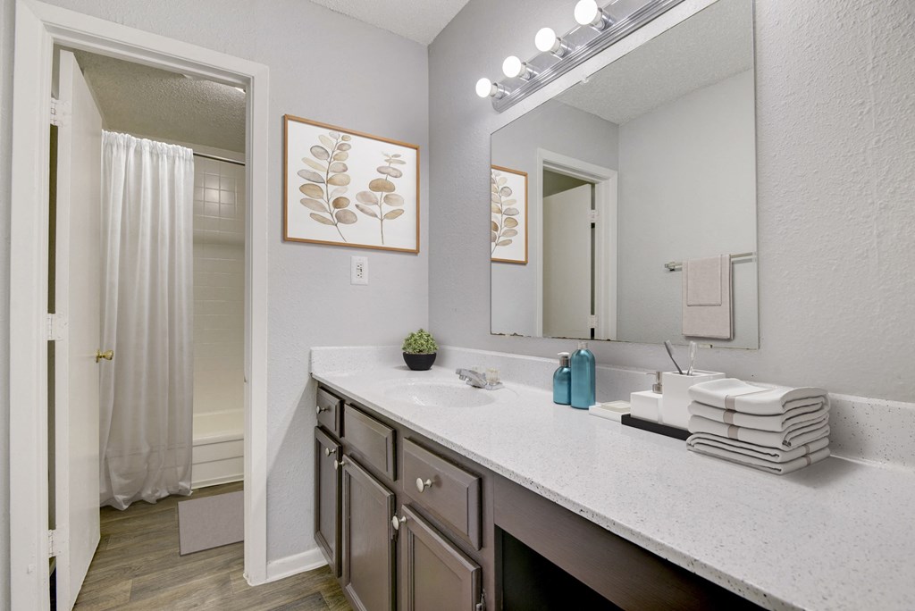 a bathroom with a sink and a mirror and a shower