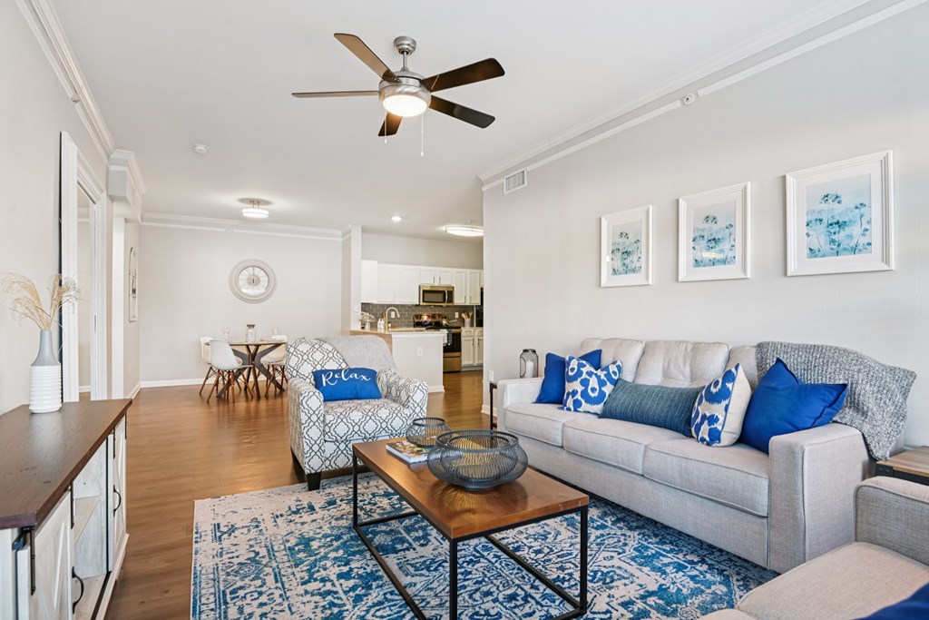 A living room with a grey couch and a blue rug.