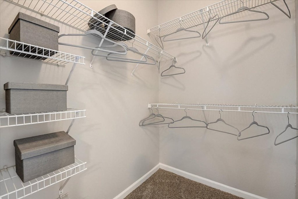 our apartments have a walk in closet with plenty of room to move around
