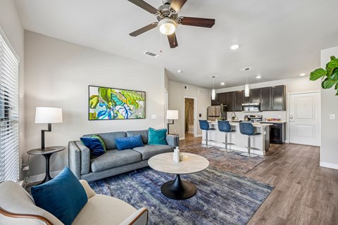A living room with a grey couch and a blue rug.