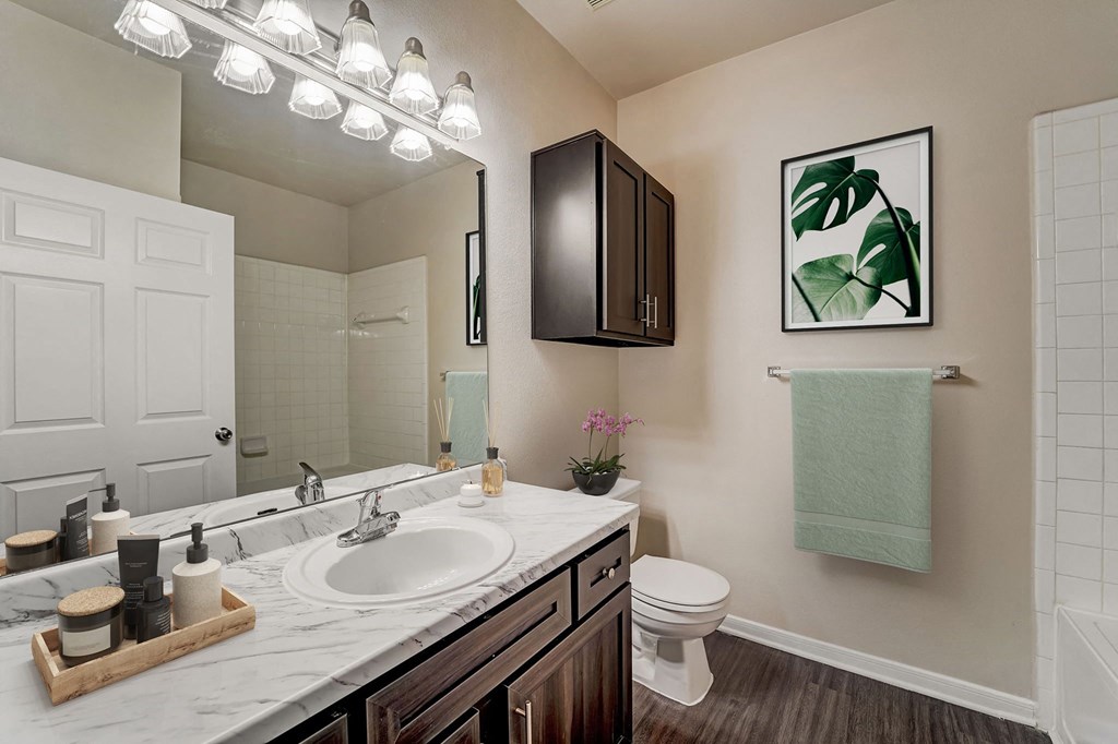 a bathroom with a sink and a toilet and a mirror