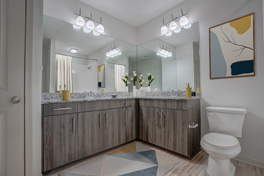 a bathroom with a toilet and a large mirror