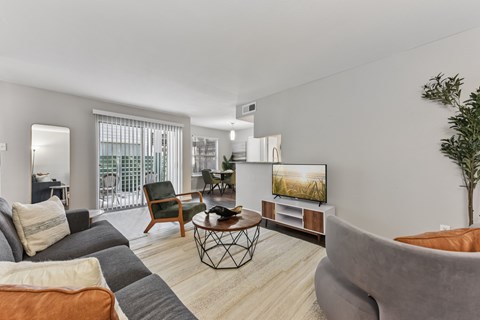 A living room with a grey couch and a television.