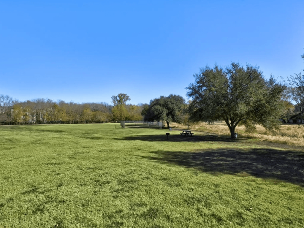 A large open field with a tree and picnic table.