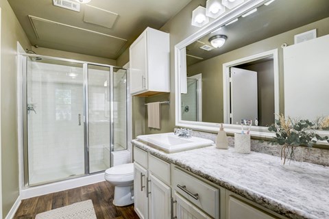 a bathroom with a shower and a sink and a mirror