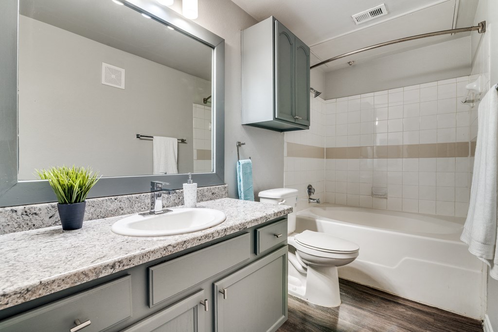 a bathroom with a sink toilet and a mirror