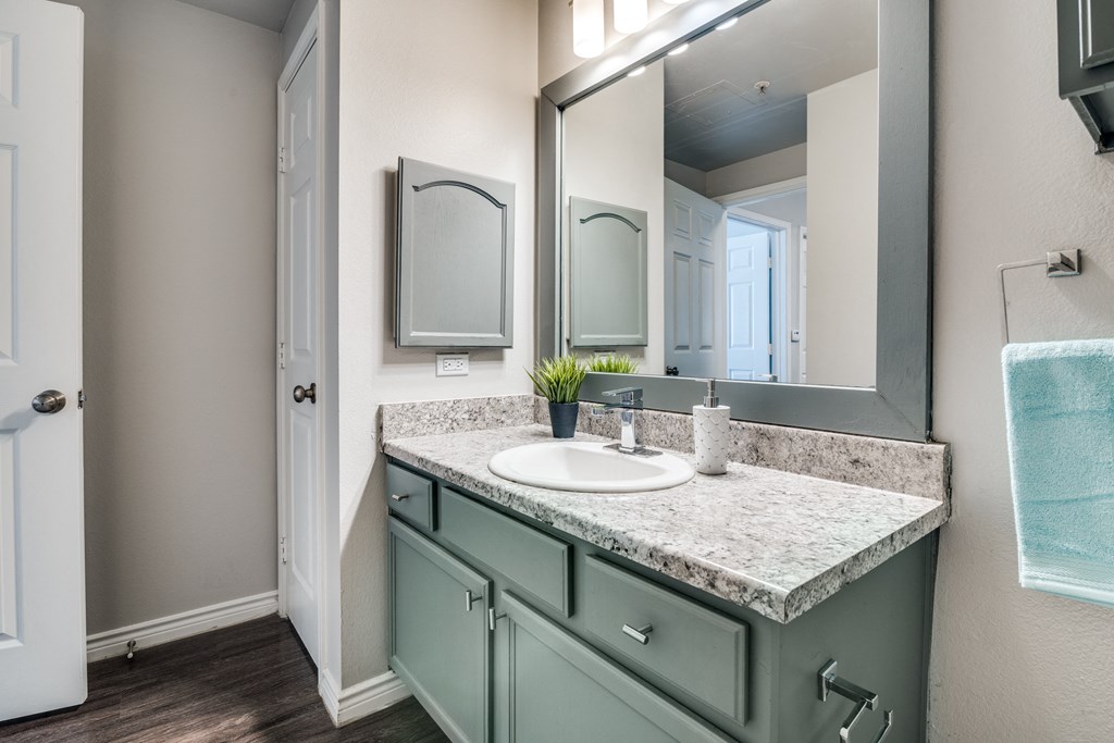 a bathroom with a sink and a large mirror