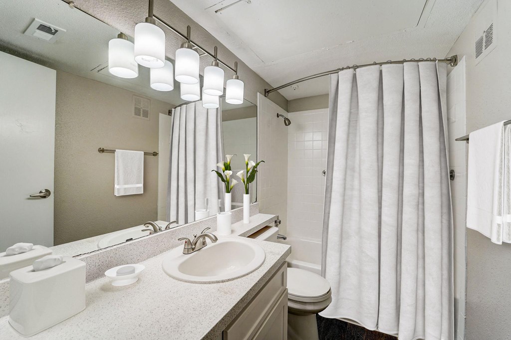 a bathroom with a sink and a mirror and a shower