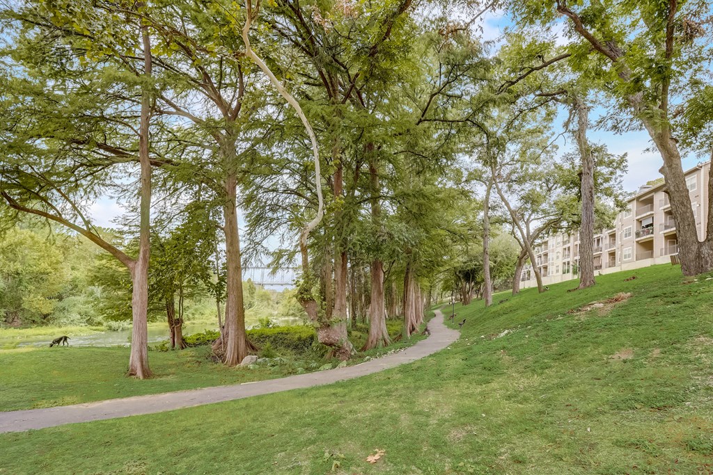 a path through a park with trees and a building in the background