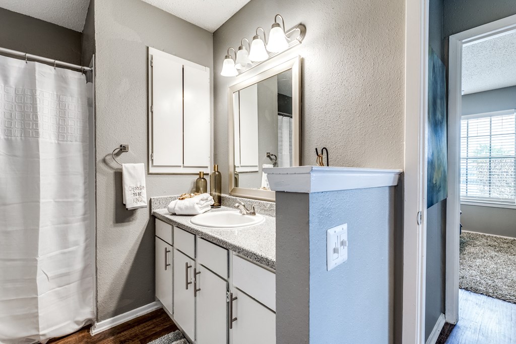 a bathroom with a sink and a shower and a mirror