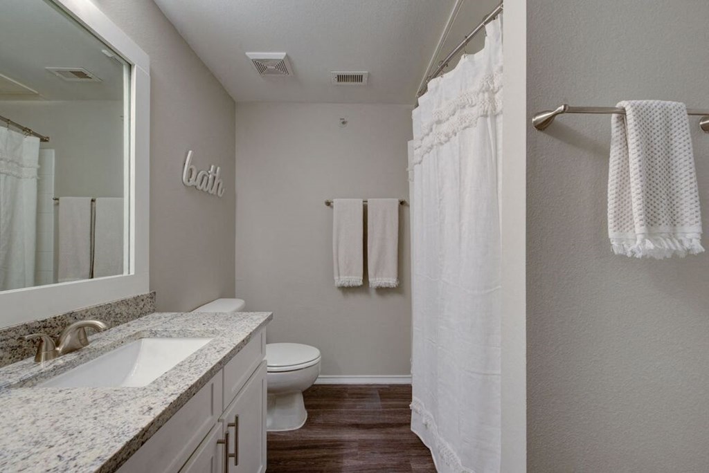 a bathroom with a toilet and a sink and a mirror
