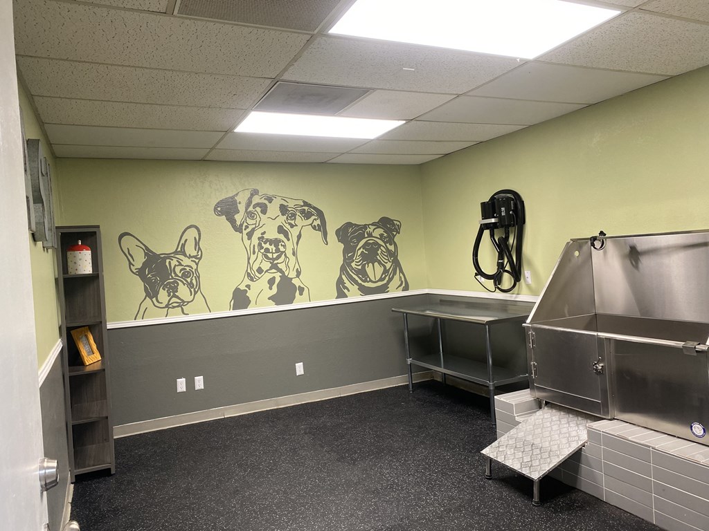 A room with a mural of dogs on the wall and a stainless steel sink.