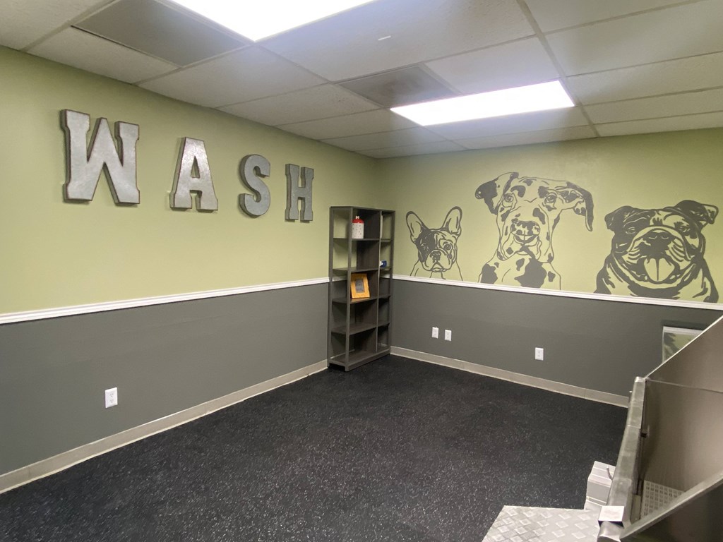 A room with a WASH sign and dog drawings on the wall.
